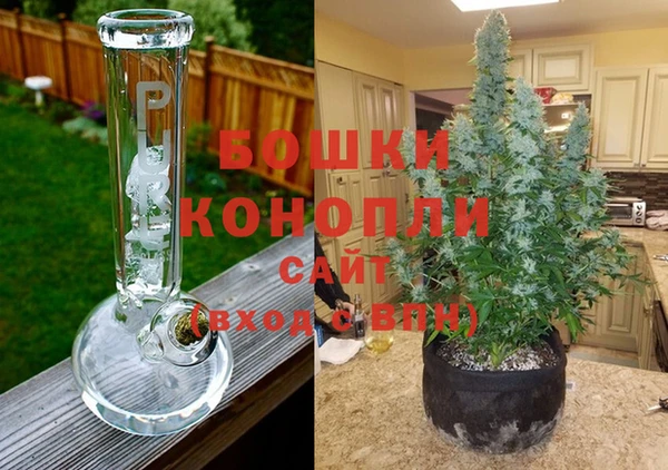 крисы Абдулино