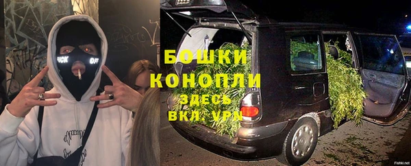 крисы Абдулино