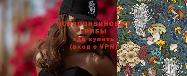 крисы Абдулино