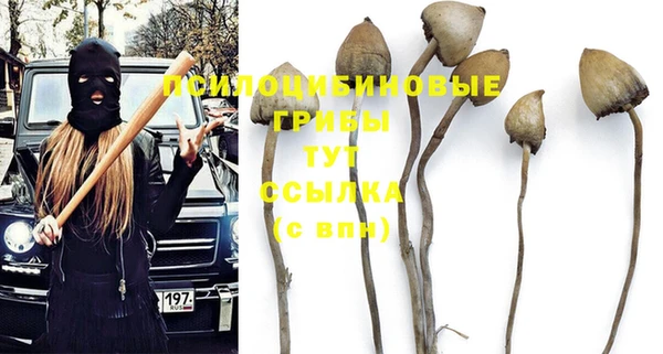 крисы Абдулино