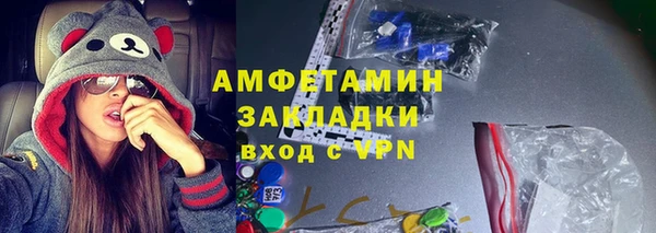 крисы Няндома
